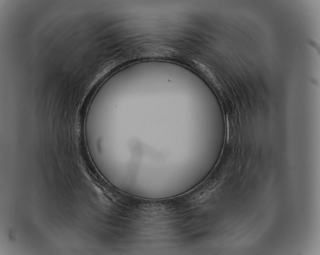 X0000091470435200709131756