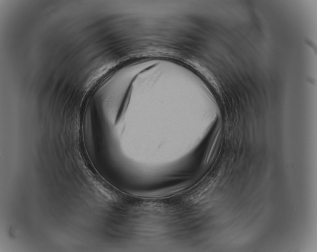 X0000091470437200709131756