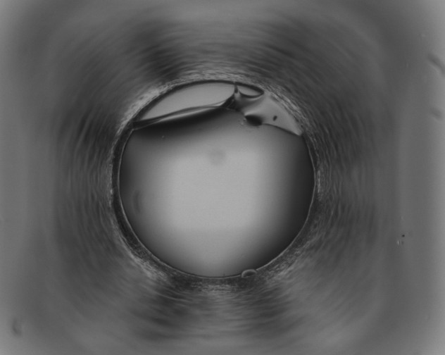 X0000091470438200709131756