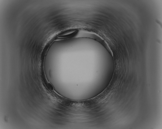 X0000091470440200709131756