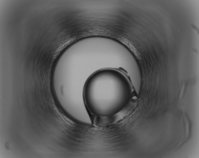 X0000091470442200709131756