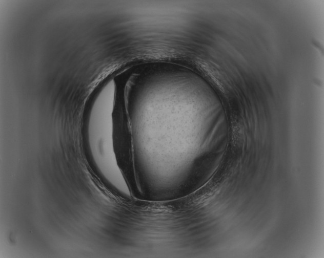 X0000091470443200709131756