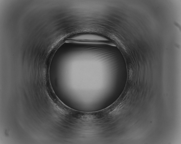 X0000091470444200709131756