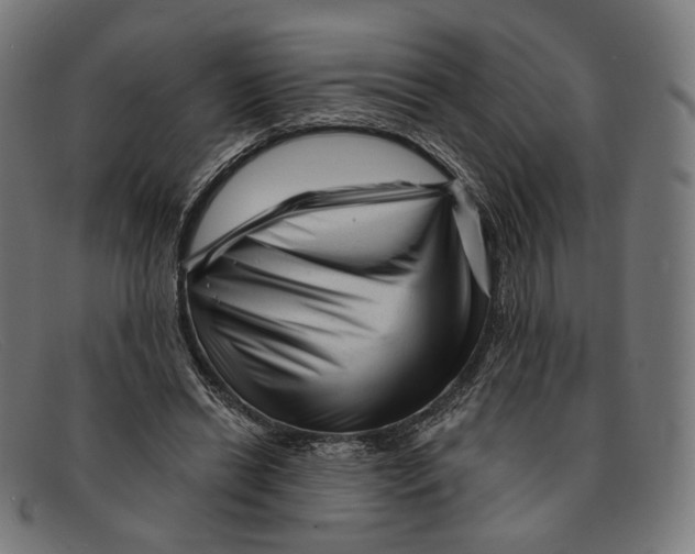 X0000091470446200709131756