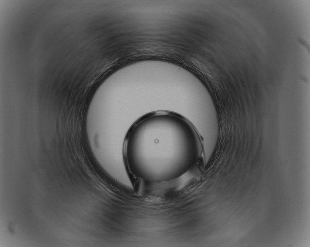 X0000091470456200709131756