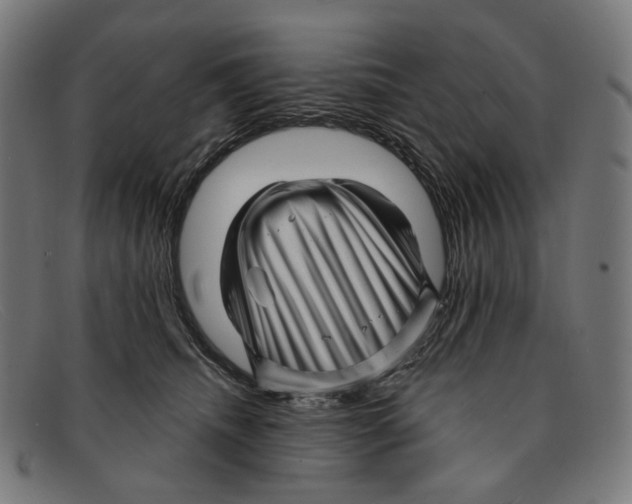 X0000091470468200709131756