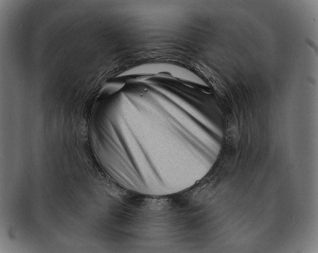 X0000091470469200709131756