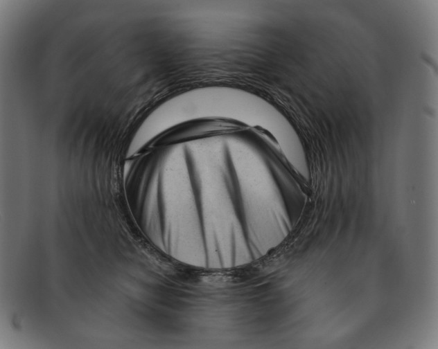 X0000091470470200709131756