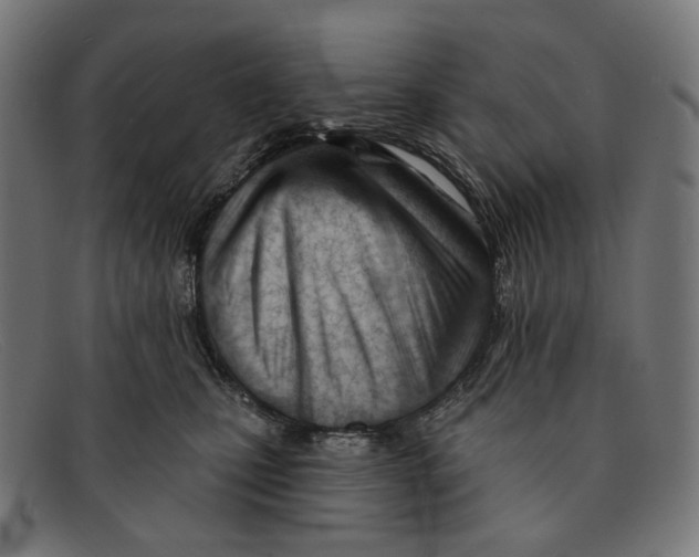 X0000091470471200709131756