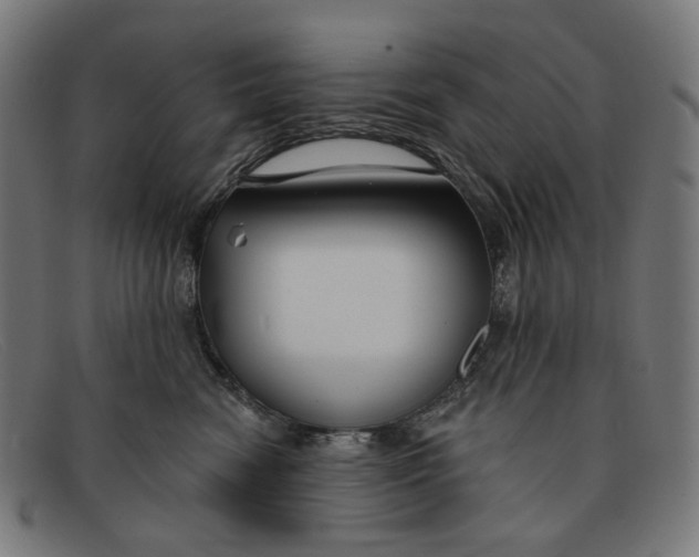 X0000091470474200709131756