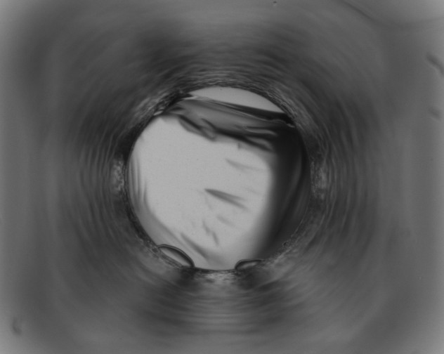 X0000091470478200709131756