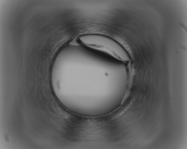 X0000091470481200709131756