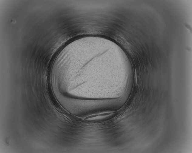 X0000091470483200709131756