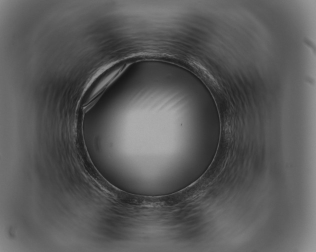 X0000091470484200709131755