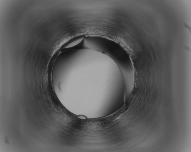 X0000091470488200709131755