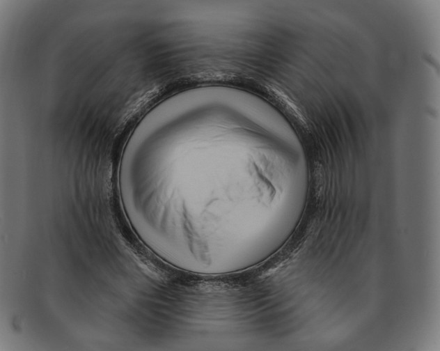 X0000091470490200709131755