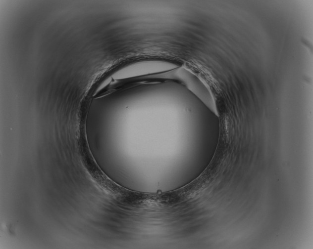 X0000091470496200709131755