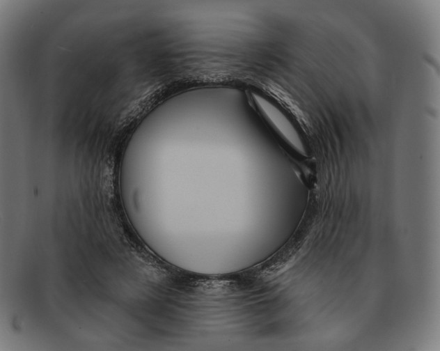 X0000091470497200709131755