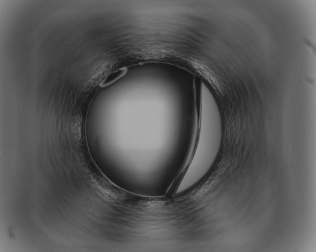 X0000091470501200709131755