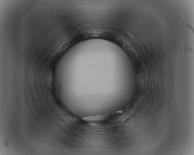 X0000091470509200709131755