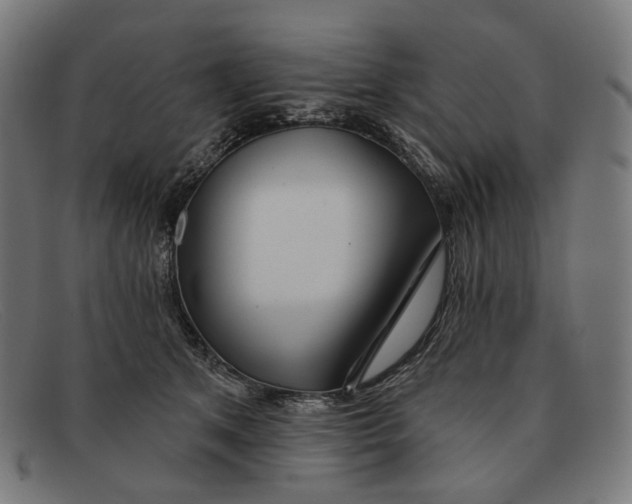 X0000091470513200709131755