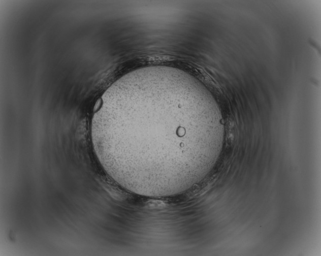 X0000091470519200709131755