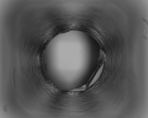 X0000091470520200709131755