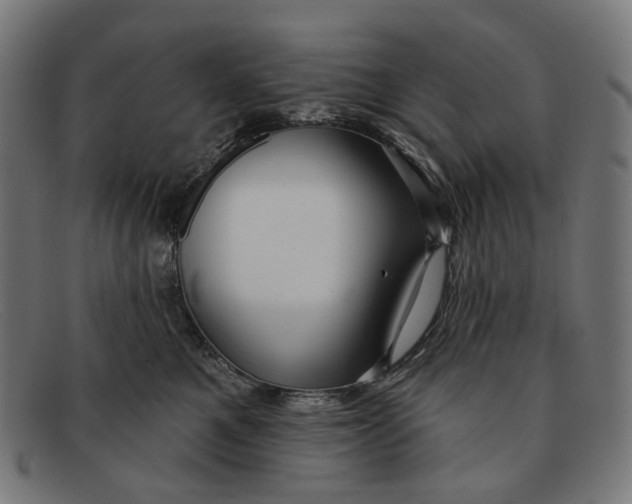 X0000091470521200709131755