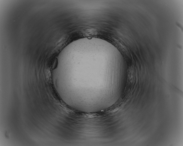 X0000091470523200709131755