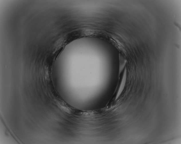 X0000091470524200709131755