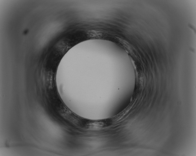 X0000091470525200709131755