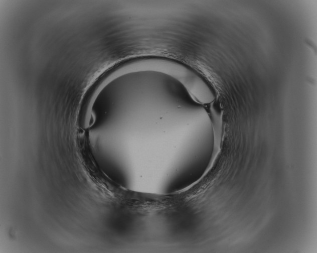 X0000091470532200709131754