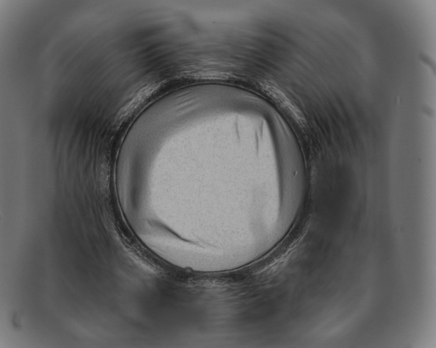 X0000091470533200709131754