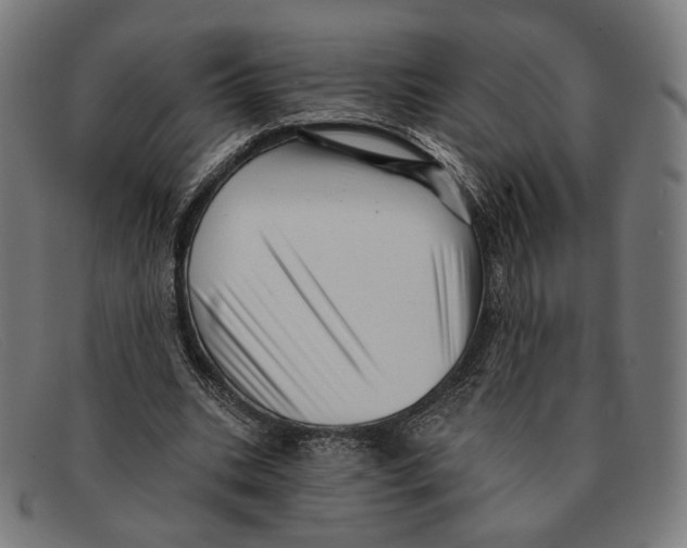 X0000091470535200709131754