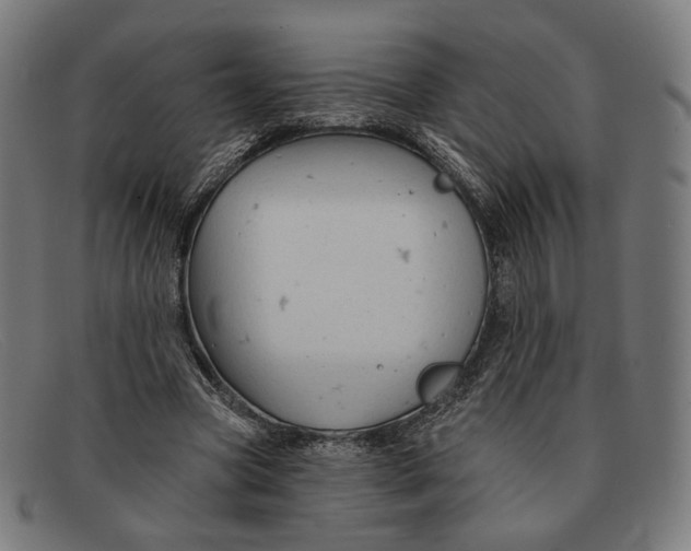 X0000091470537200709131754