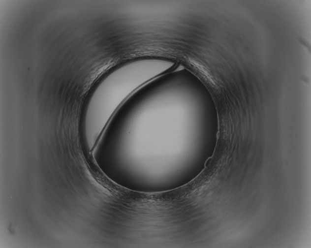 X0000091470538200709131754