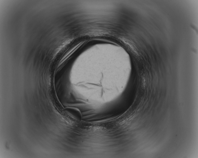 X0000091470539200709131754