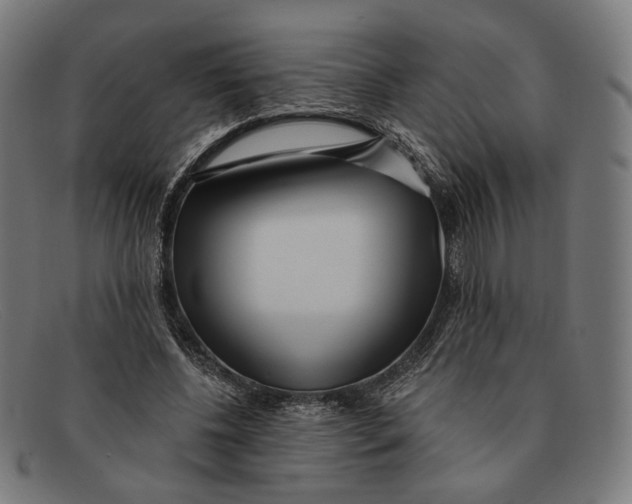 X0000091470540200709131754