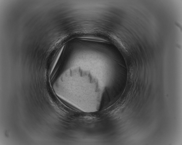 X0000091470542200709131754