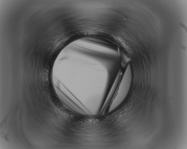 X0000091470543200709131754