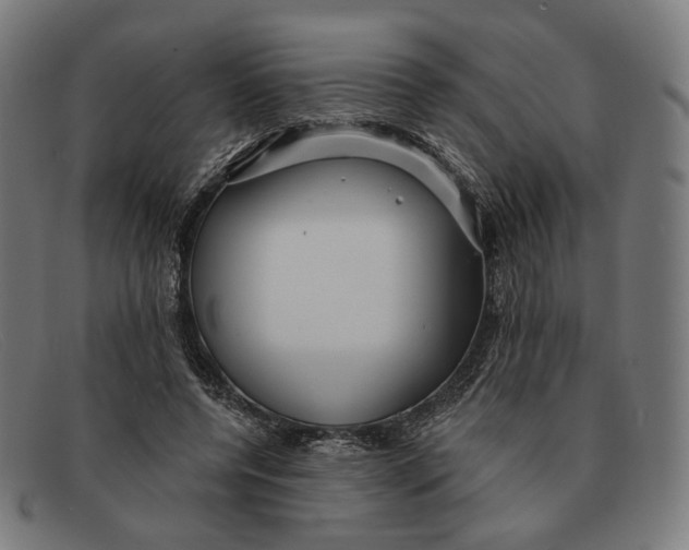 X0000091470544200709131754