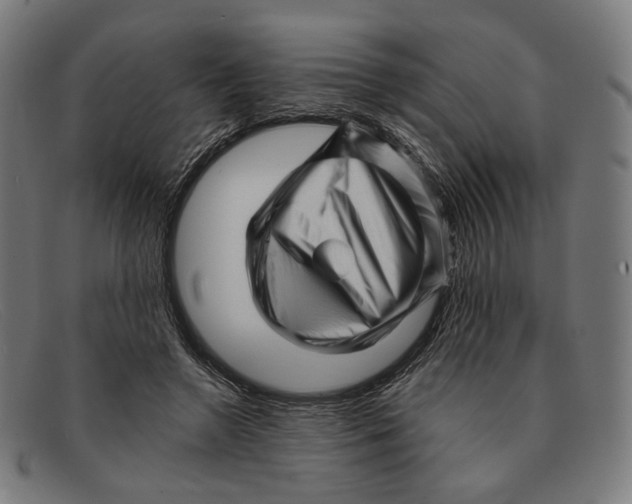 X0000091470546200709131754