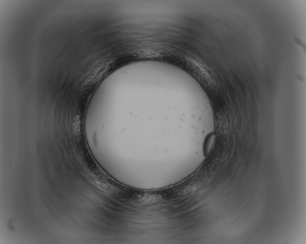 X0000091470549200709131755