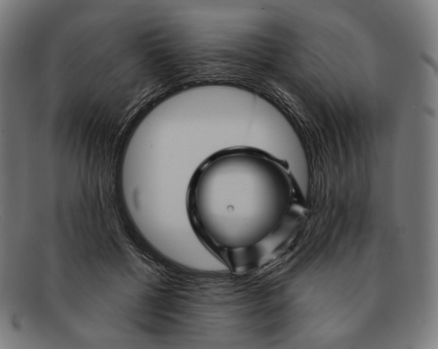 X0000091470552200709131755