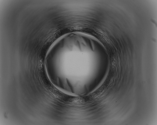 X0000091470555200709131755