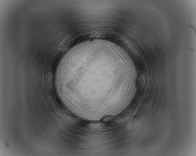 X0000091470557200709131755