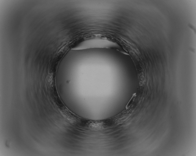 X0000091470560200709131755