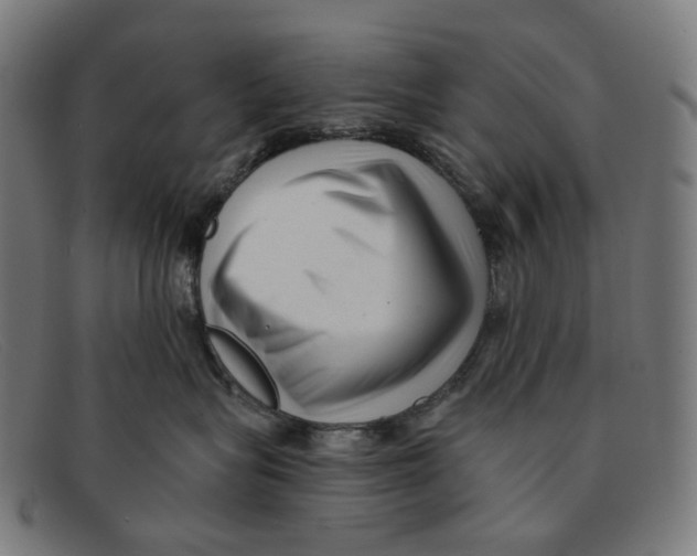 X0000091470575200709131755