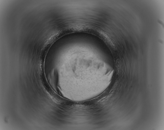 X0000091470590200709131754