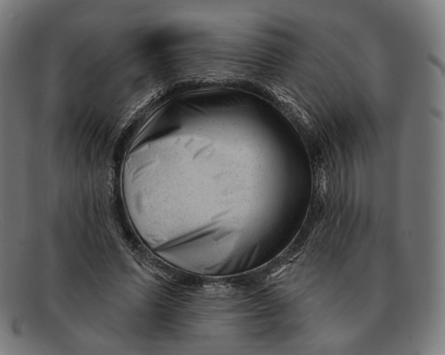 X0000091470591200709131754